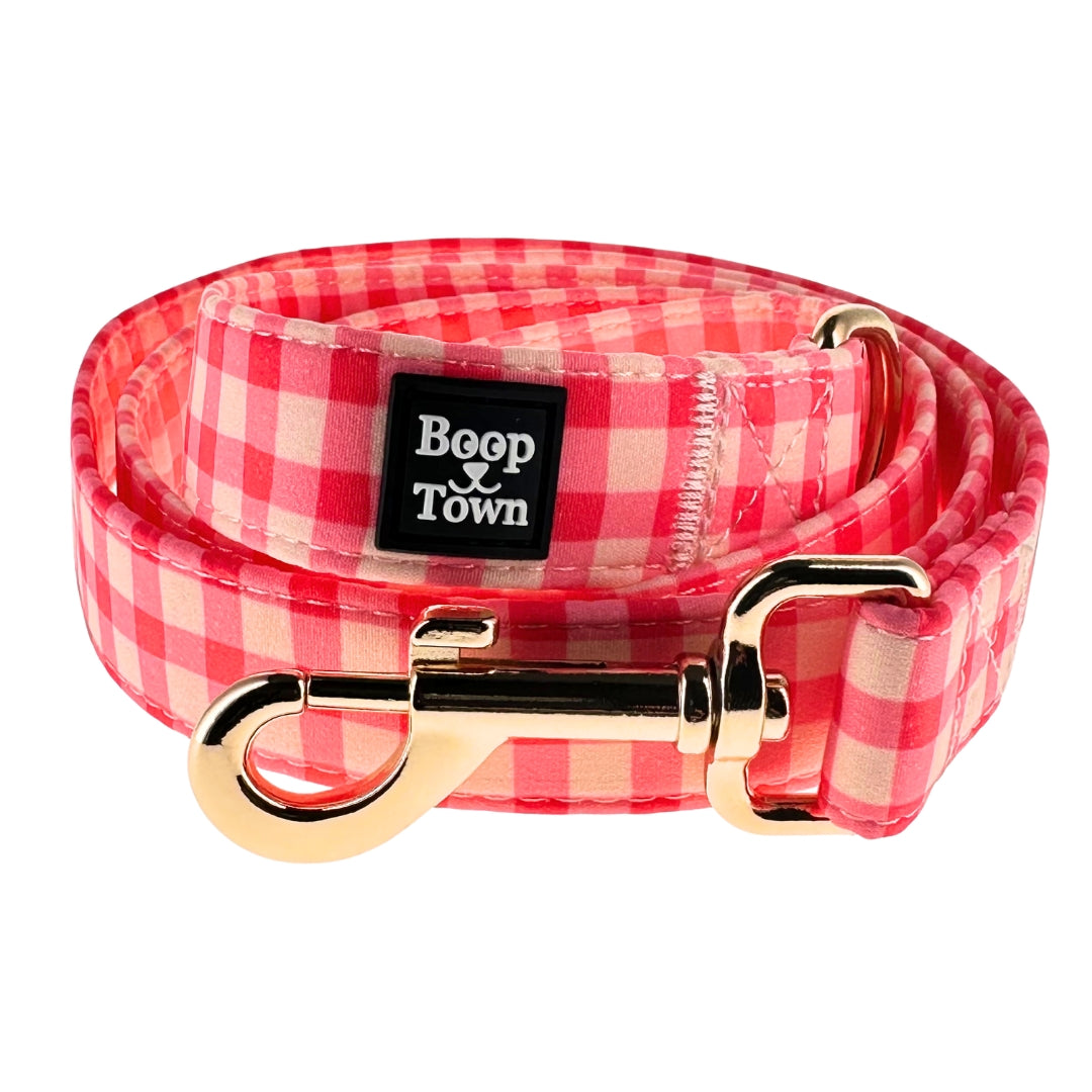 Dog Leashes