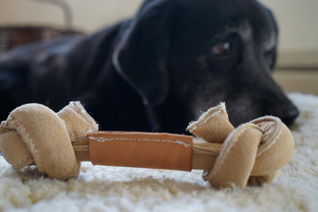 Huggle-Hide® Natural Leather Bone Dog Toy, 3 Pack
